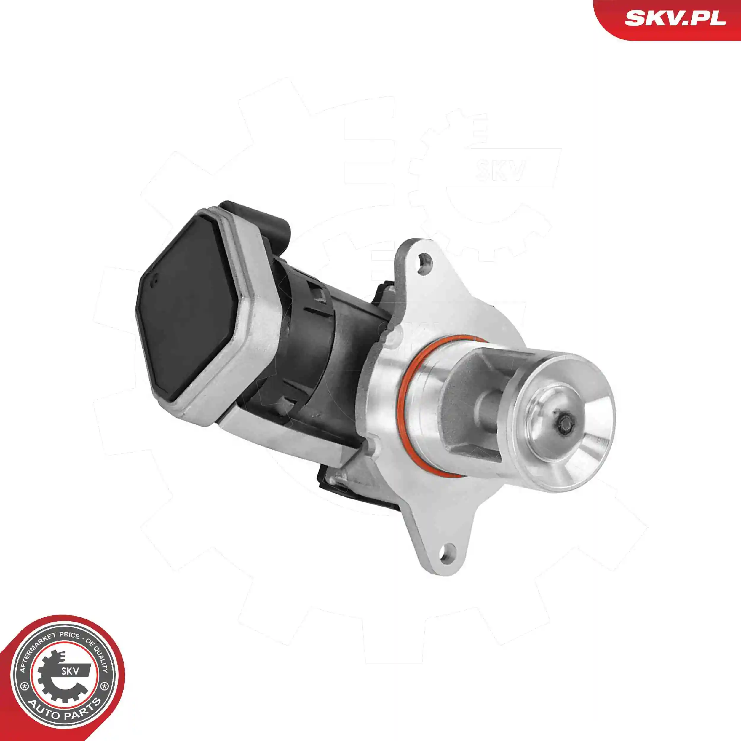 EGR Valve